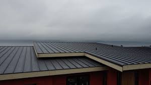 Best Roof Insulation Installation  in Murrysville, PA